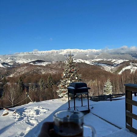 Hotel Cabanuta Din Munti Moieciu de Jos Zewnętrze zdjęcie
