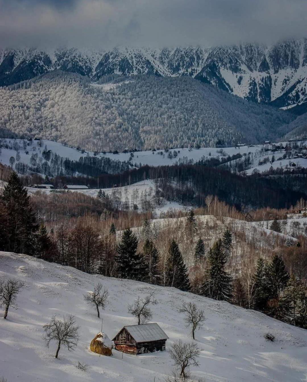 Hotel Cabanuta Din Munti Moieciu de Jos Zewnętrze zdjęcie